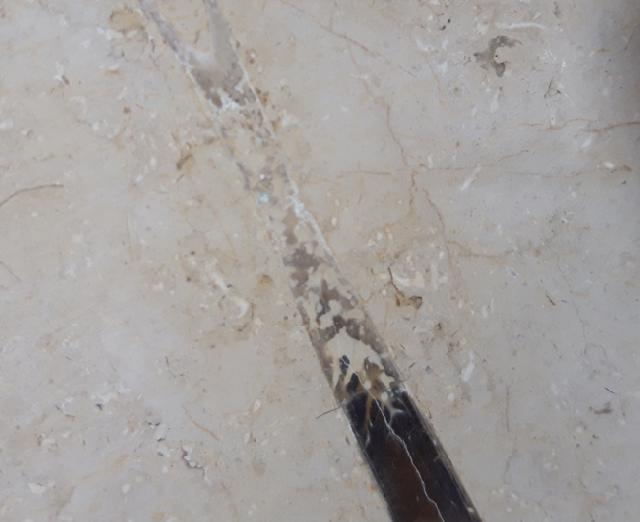 Hibolithes sp. (MONTFORT 1808) - Bild &copy; FossNet FossilienStore
